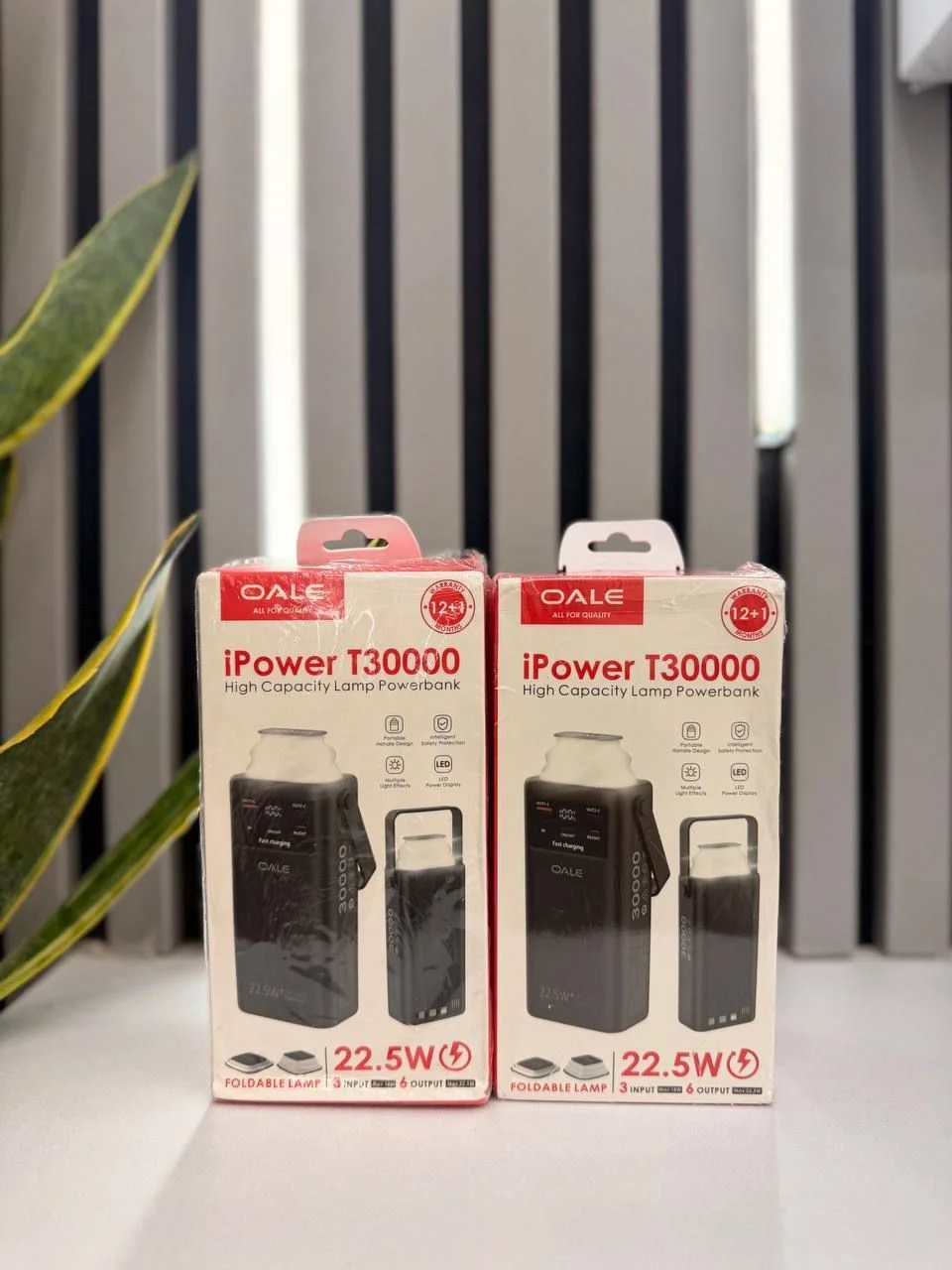 پاوربانک Oale مدل T30000فست شارژ